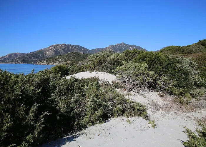 Three-room With Pool Appartement