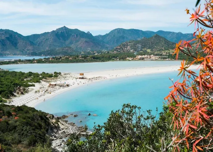 Three-room With Pool